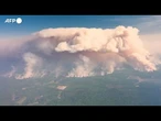 Incendi in Canada, bruciati oltre 20mila ettari di bosco a Kiskatinaw
