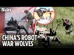 Armed robo-wolves are China's secret weapon for an amphibious invasion of Taiwan