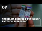 Vacina da dengue é perigosa Entenda motivo da suspensão