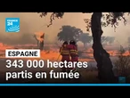 Espagne : 23 feux toujours actifs et plus de 343 000 hectares partis en fumée • FRANCE 24