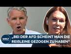 BJÖRN HÖCKE: Gesundheitliche Gründe! Thüringens AfD-Chef verzichtet vor Landtagswahl auf TV-Auftritt