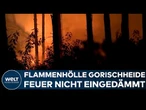 WALDBRÄNDE: Flammenhölle Gorischheide – Feuer nicht eingedämmt