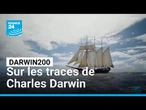 Darwin200 : l'expédition qui reprend le voyage historique de Charles Darwin • FRANCE 24