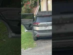 Bear breaks into unlocked car in Tennessee