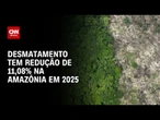Desmatamento na Amazônia atinge novo recorde de redução | CNN ARENA