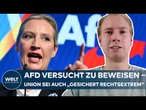 VERFASSUNGSSCHUTZ: AfD erstellt dubioses Gegengutachten – Union sei genauso "gesichert rechtsextrem"