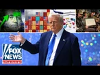 'Tired of all the winning?': Laura Ingraham breaks down Trump's major weekend moves