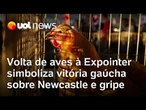 Volta de aves à Expointer simboliza vitória gaúcha sobre Newcastle e gripe