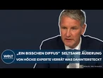 AFD: "Ein bisschen Diffus" Seltsame Äußerung! Experte verrät! Das steckt hinter Höckes Statement