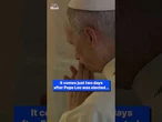 Pope Leo XIV lays white rose for late Pope Francis