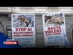 Entra oggi in vigore la legge Brambilla contro il maltrattamento degli animali