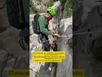 El espectacular rescate de dos perros atrapados en un risco