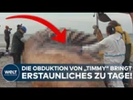 TIMMY WAR EIN WEIBCHEN: Nichts für schwache Nerven! Was die Obduktion des Buckelwals enthüllt