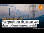 Exklusives Papier: So könnte der Industriestrompreis ab Januar aussehen