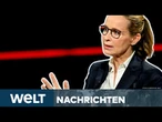 BROSIUS-GERSDORF: Rückzieher-Ansage? Experte knallhart! Regierungskrise ist doch schon da! | STREAM