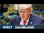 TRUMP TEILT AUS: Scharfe Kritik an Migration, Europa und Russland-Geschäften | WELT STREAM