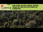 Brasil espera cerca de US$ 25 bi em fundo de florestas | BASTIDORES CNN
