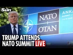 LIVE: Trump attends the NATO summit in Ankara
