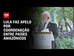 Lula faz apelo por coordenação entre países amazônicos | WW