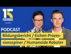 Bildungsbericht / Eichen-Prozessionsspinner