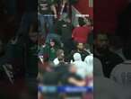 Brawl breaks out in stands of high school basketball game