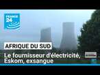 Afrique du Sud : le fournisseur d'électricité, Eskom, exsangue • FRANCE 24