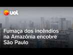 Fumaça em SP: Incêndios na Amazônia contribuem para poluição; veja vídeo