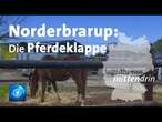 Norderbrarup: Die Pferdeklappe | tagesthemen mittendrin