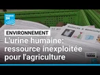 L'urine humaine, ressource inexploitée pour l'agriculture • FRANCE 24