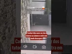 Cachorrinha ouve voz dos tutores na câmera e entra em modo desespero