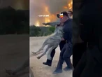 Cachorro é resgatado em incêndio florestal na Espanha