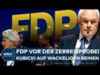 WIEDERBELEBUNG DER FDP: Wolfgang Kubicki startet auf wackeligen Beinen | Probleme in der Partei