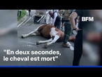 Un cheval de calèche meurt à Central Park, le maire de New York appelé à interdire cette pratique