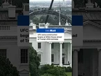 White House begins preparations for UFC event for Trump's 80th birthday