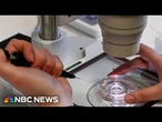 Democrats call IVF bill a message of support to women in U.S. 