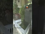 Câmera flagra furto de bicicleta durante a madrugada na zona norte de SP