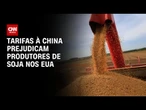China fecha setembro sem importar soja dos EUA pela 1ª vez em sete anos | CNN PRIME TIME