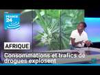 Consommations et trafics de drogues explosent : le défi de l'Afrique • FRANCE 24