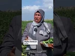 Palestinian farmers fight to restore their livelihoods