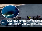 AUSTRALIEN: Tödliche Hai-Attacke vor Australiens Küste – Mann stirbt nach Angriff