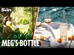 'Copycat' Meghan Markle's new rosé wine is yet ANOTHER bid to be relevant claims expert