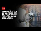 CFM proíbe uso de anestesia geral e sedação para tatuagens | CNN NOVO DIA