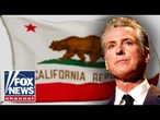 Gavin Newsom is a 'scam artist': David Webb
