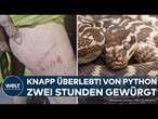 ÜBERLEBENSKAMPF IN THAILAND: Von Python-Schlange in der Küche angefallen! Für zwei Stunden gewürgt