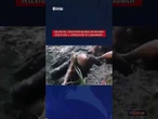 Isernia, i carabinieri salvano un anziano inghiottito nel fango