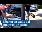 Dos policías municipales liberan a un gatito atrapado en el motor de un coche