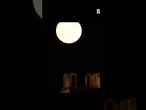 La lunga dello Storione sorge i Grecia alle spalle del tempio