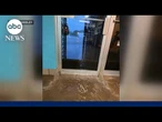 Oklahoma pet owner forced to evacuate after severe flooding