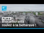 Biocarburants : roulez à la betterave ! • FRANCE 24
