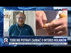 Sawicki: Tusk nie zrobił nic, żeby skutecznie zablokować umowę Mercosur | Republika Dzień